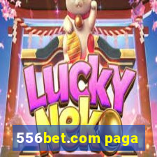 556bet.com paga